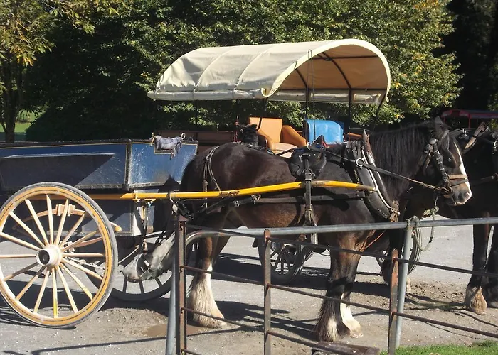 Vakantiehuis No 20 Village Killarney